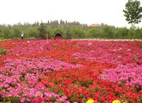 燕東生態觀光園