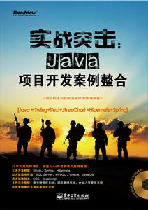 實戰突擊：Java項目開發案例整合