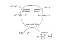 交叉偶聯反應機理