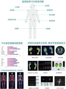 足底壓力及姿態分析系統