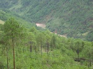 坪登村生態山林