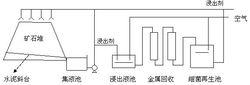 細菌浸出示意圖