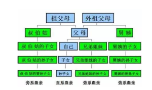 親屬關係圖