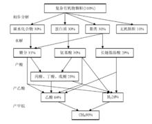 有機物厭氧消化途徑