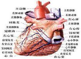 慢性靜脈功能不全