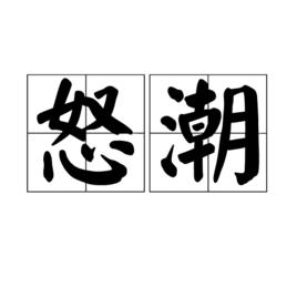 怒潮[詞語概念]