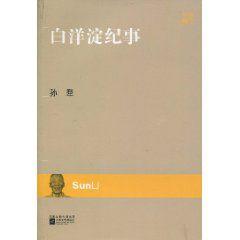 白洋淀紀事[2010年江蘇文藝出版社出版圖書]