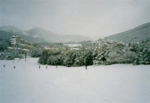 龍平滑雪度假區