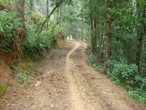 茨竹箐村進村道路