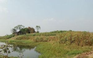 子華墩遺址