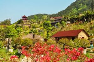 大別山映山紅生態文化大觀園