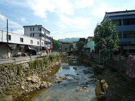 大章村[浙江省富陽縣常綠鎮大章村]