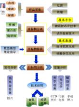 即時診斷（POC）技術路線整體規劃