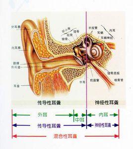 蓄積毒性