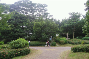 洲頭咀公園