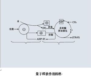 量子水處理技術