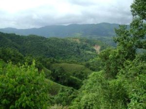 陡山自然村