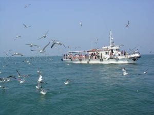 長島海上遊船