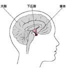 多內分泌腺衰竭綜合徵