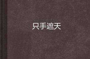 隻手遮天[同名網路小說]