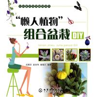 “懶人植物”組合盆栽DIY