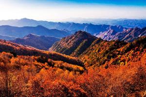 河北白草窪國家森林公園小黃山