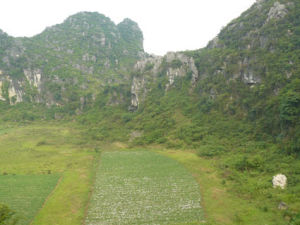 蘇圩天坑峽谷洞