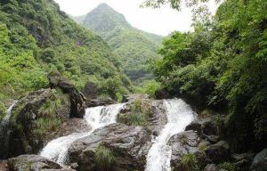 廣東天井山國家森林公園