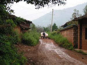 進村道路