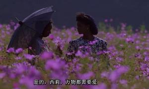 紫色姐妹花