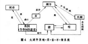 農業用汽車