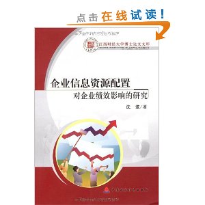 企業信息資源配置對企業績效影響的研究