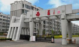 西王村[山東省濟寧市任城區李營鎮下轄村]