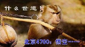 北京4700