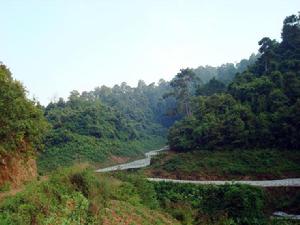 大黑箐村[雲南華寧縣青龍鎮下轄村]