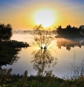 白蓮湖濕地公園