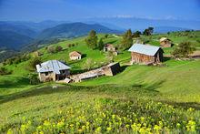 鄉村[鄉村地區人類各種形式的居住場所]