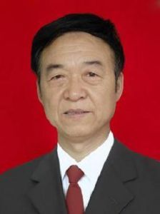 杜西民[陝西蒲城縣醫院業務院長]