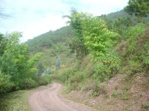 箐平掌自然村