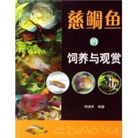 《慈鯛魚的飼養與觀賞》