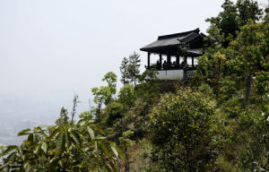 溫州牛山森林公園