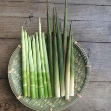 何家岩天然野菜