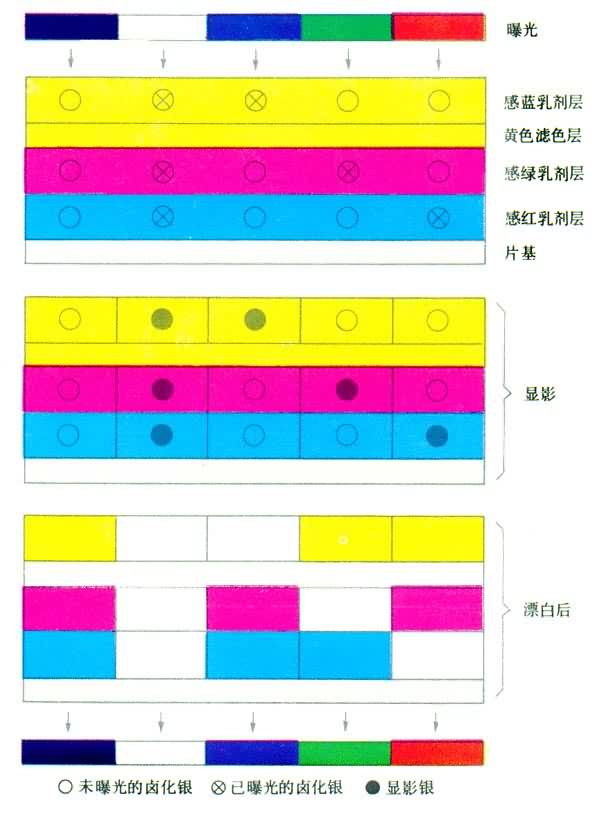 彩色感光材料