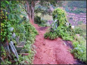 梅紅安樂村