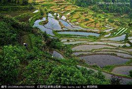 山田[中國廣東增城地名]