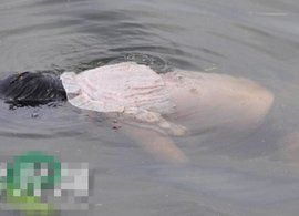 黃河浮屍[自殺、失足、被殺遺棄的屍體]