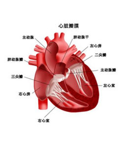 風濕性心臟病