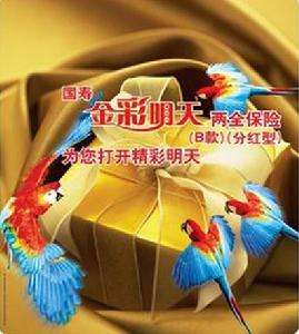 （圖）金彩明天兩全分紅保險