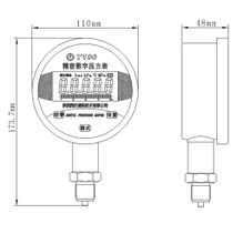 精密數字壓力表
