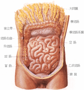 復發性潰瘍